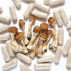 Mood Healers – Gummies Premium Microdosing Mushrooms